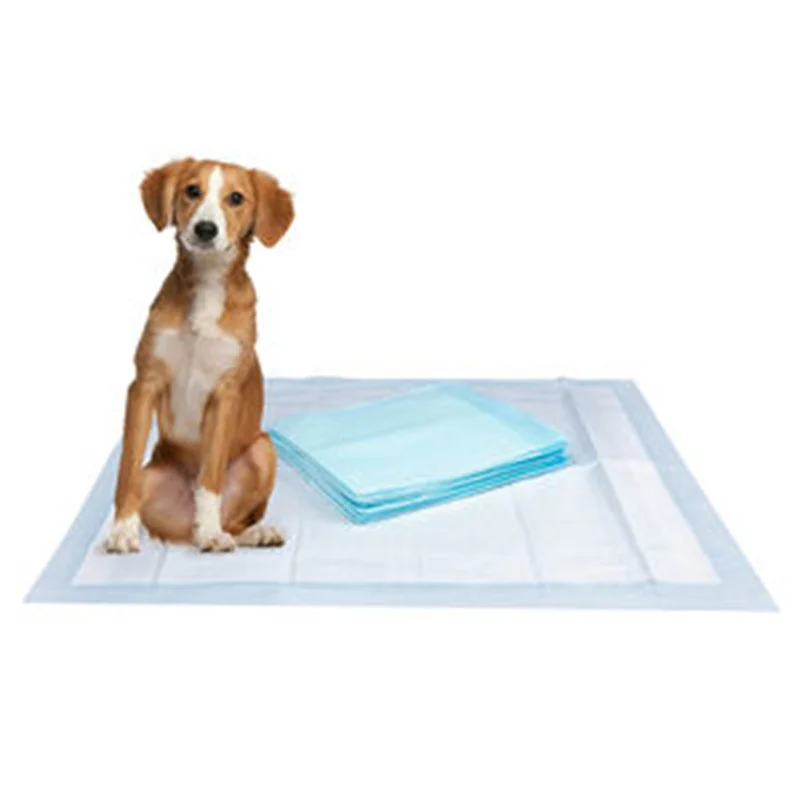 pet pad1 (18).jpg
