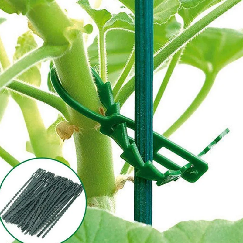 Fishbone tie green plastic garden vine 50 piraso fixed garden plant tie string artifact