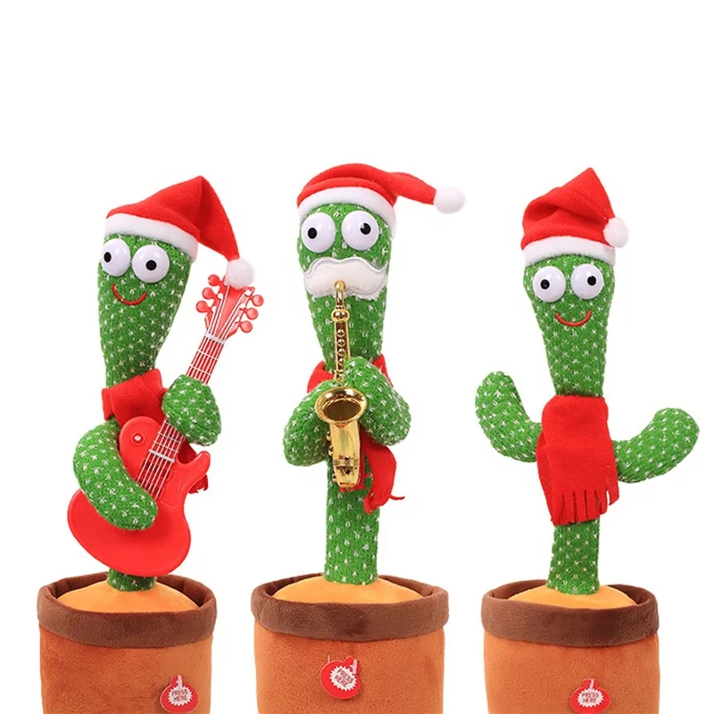 dancing christmas cactus