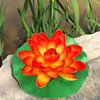 Orange Eva lotus flower [Leaves approximately 28cm]