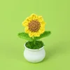 sunflower potted plant