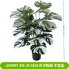 AHF857-810-24