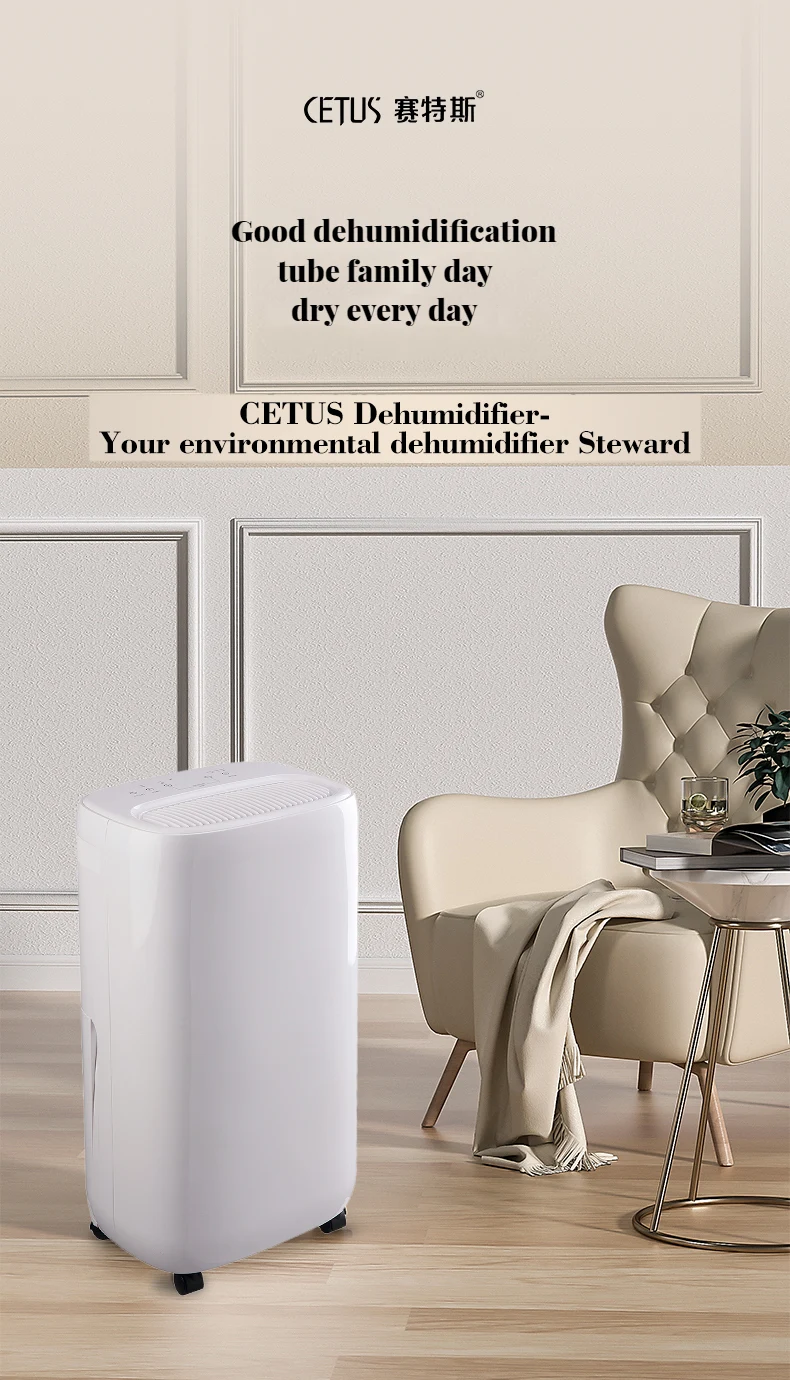 Hot Sale 10l Super Silent Mini Air Dehumidifier Home Portable Small
