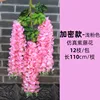 Glicine 13