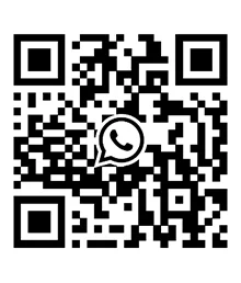 Company Overview - Guangzhou DaShanMing Machinery Co., Ltd