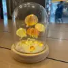 Quatre kits d'abat-jour cylindriques pour lampe méduse - alimentés par batterie - inclus