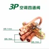 3 สัตว์