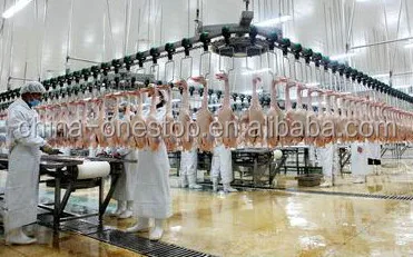 Complete poultry slaughterhouse equipment for broiler processing plant