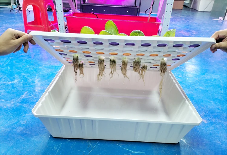 In Stock  Hydroponic Cloner Aeroponic Tray Commercial Hydroponic Cloning Machines 80 Site Grow Tray System