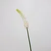Blanc Vert