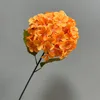 Single hydrangea-Orange