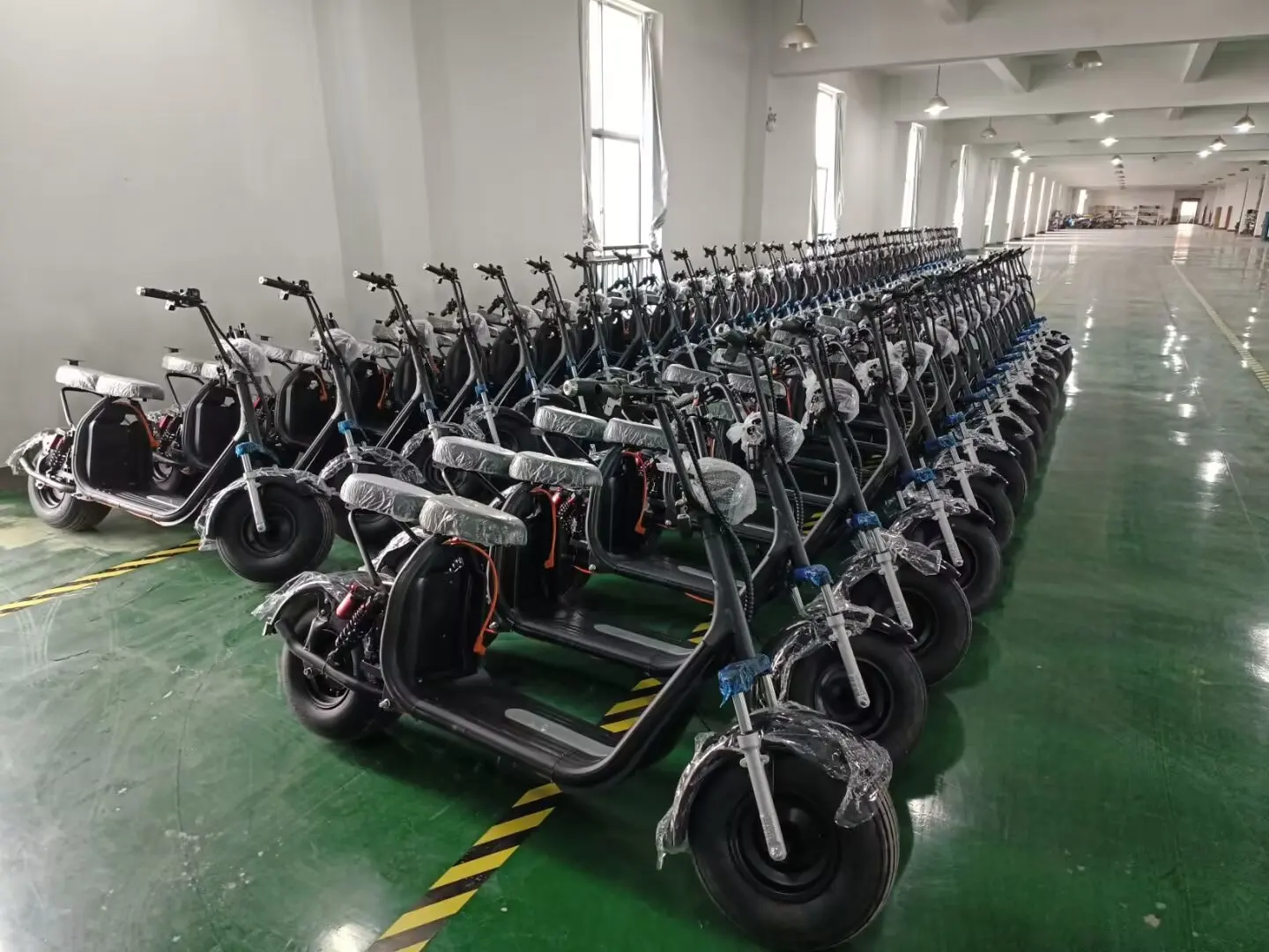 2026 Citycoco 2026 Golf CE New Model Citycoco Electric Scooter 3