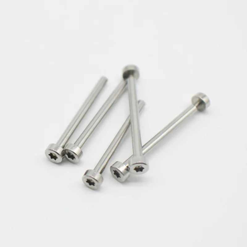 Custom Stainless Steel case Lug Strap Band Connecting Torx T6 Chicago Screw for Watch