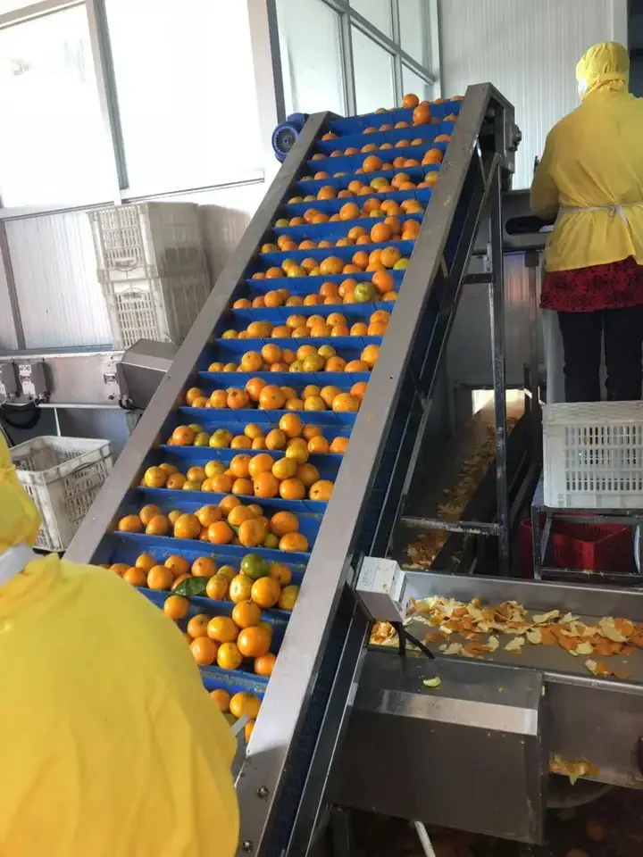 Industrial Automatic Tangerine Juice Making Extractor Machine Maker