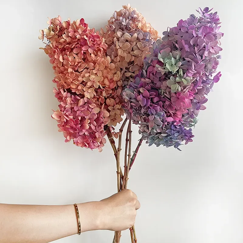 Wholesale Dry Hydrangea Dried Flowers Plants Preserved Pagoda Wood Hydrangea Flowers Buy Dried