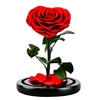12*20cm Dome Heart Shape Rose
