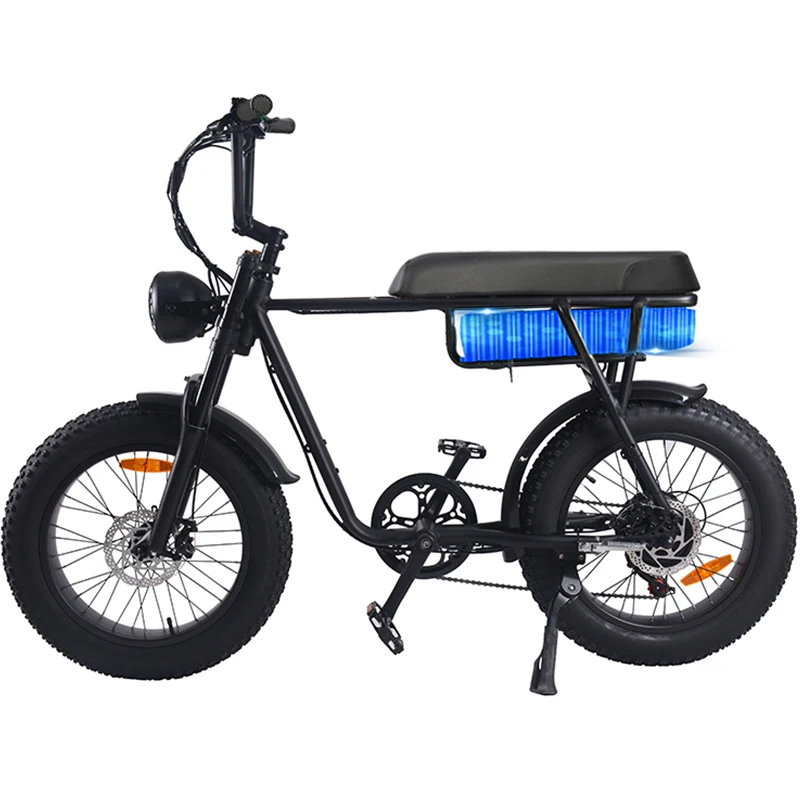 20 pollici fatbike bicicletta elettrica fat tyer electric beach