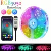 Tira LED RGB 5050 con aplicación Bluetooth 12LED/m