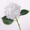 Moisturizing Hydrangea-white