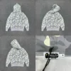 Gris xx091