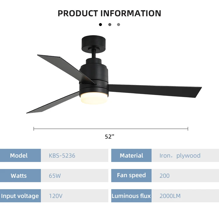 KBS-5236_10.jpg