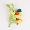Ensemble corde pour chien verte et carotte