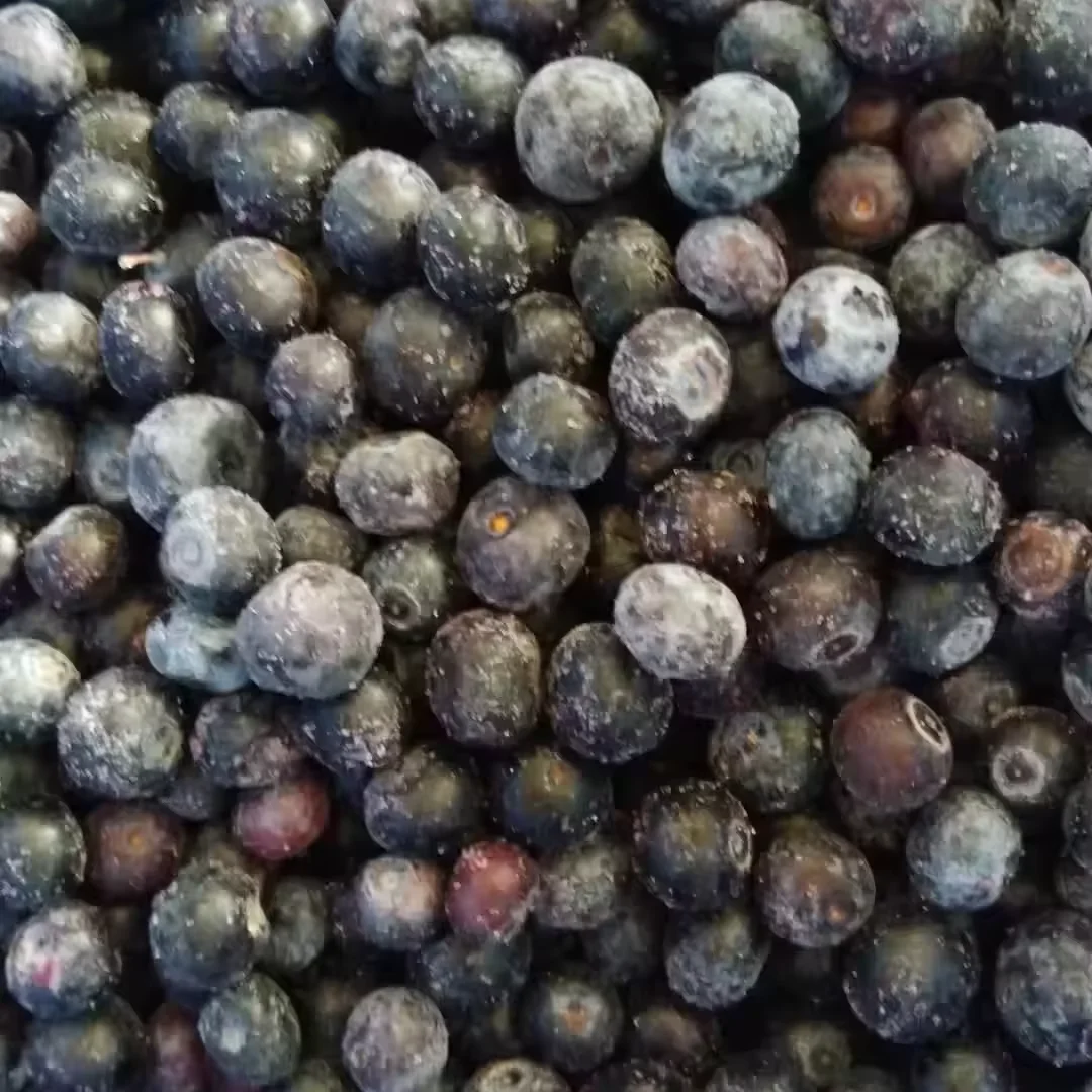 Ψηλής Ποιότητας 10kg IQF Κατεψυγμένα Μύρτιλα σε Χονδρική Τιμή για Πώληση