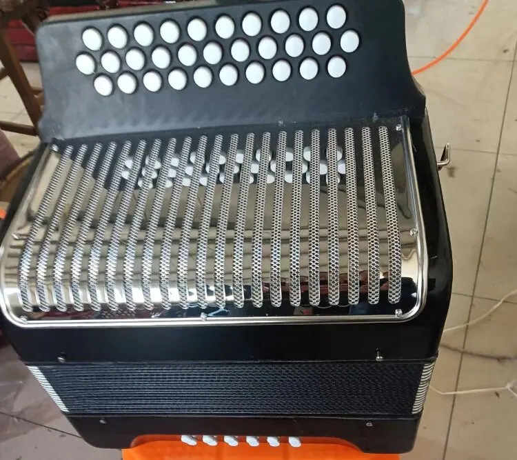OEM 31 Button 12 Bass Button Accordion Solo and Ensemble Musical Instrument for Home and Classroom(B3112SB)