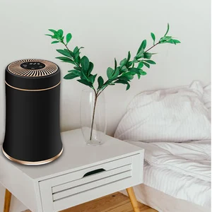 Electric Pet Air Purifier With Hepa Filter One-Click Sterilization Whole House Purification Desktop Installation US Plug