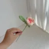 Rosa-4