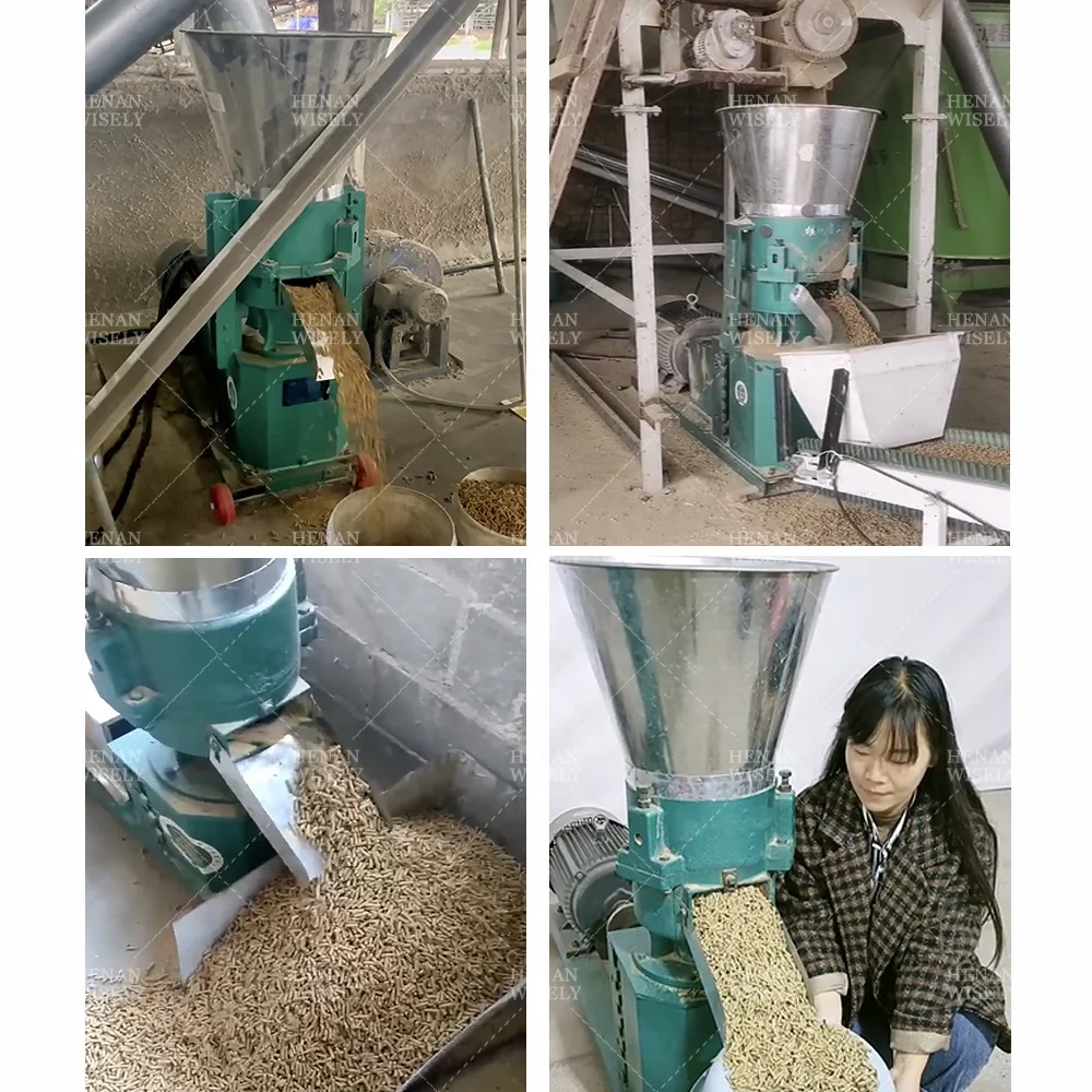 Animal Poultry Fish Feed Processing Machines Wood Pellet Mill Making Machine