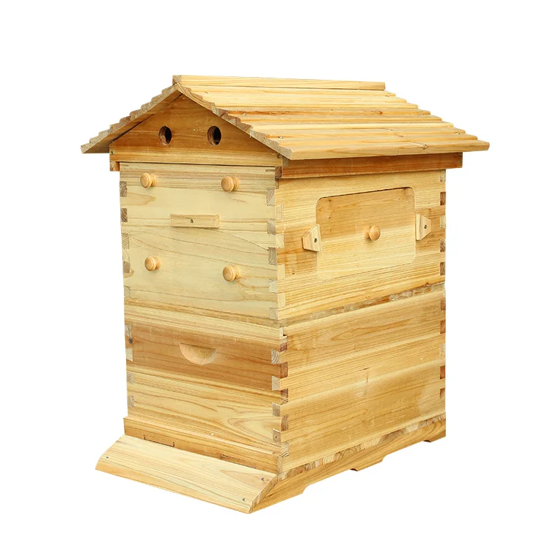 Factory Supply Australian Auto Beehive Honey Bee Box For Sale Automatic 