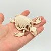Tortuga Esqueleto