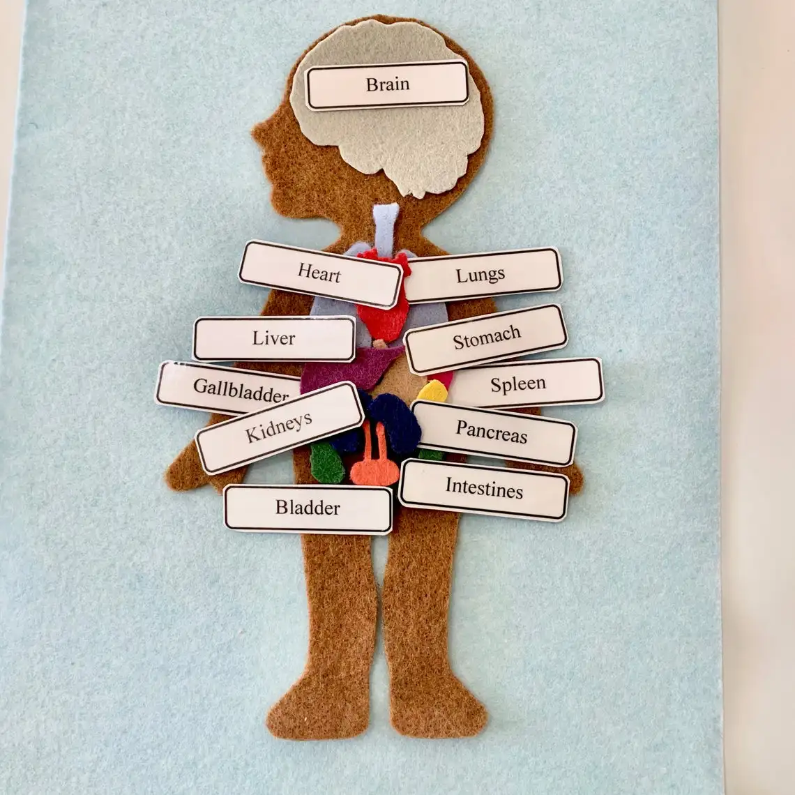 Handmade Activity My Body Puzzle 2023 Educational Toys Science Montessori Human Anatomy Felt Board