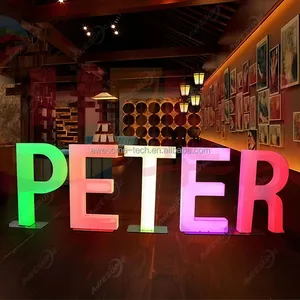 High Quality Outdoor Waterproof Large Plastic Led Letters Light Lighting Colorful New Years Decoration Light