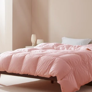 Wholesale Bedding Duvet Quilt Blanket Factory Price Goose Down Duvet Pink Cotton Quilted
