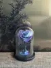 Galaxy Love Head Little Prince