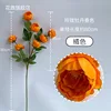 Peonía exquisita de 7 cabezas en primavera, naranja.