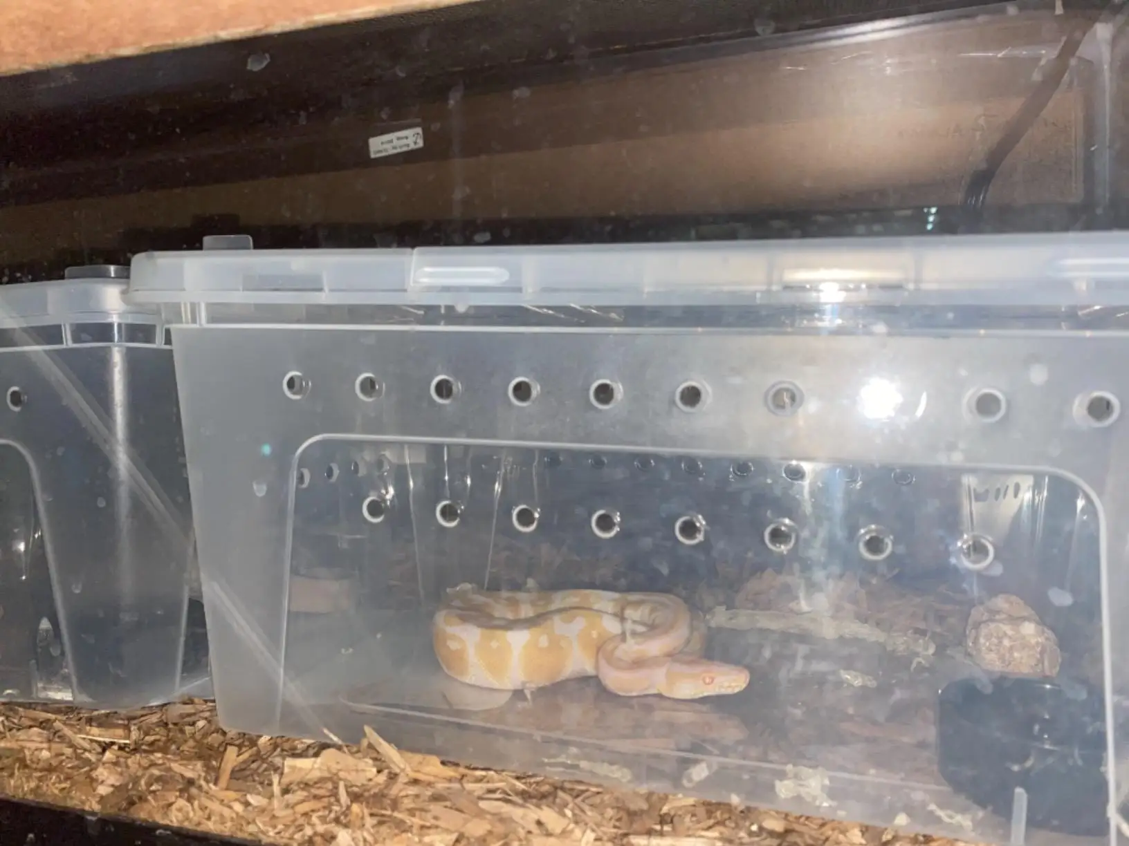 Reptile Feeding Box Snake Breeding Box Transparent Animal Habitat Cage ...