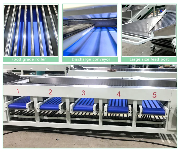 Commercial Sorting Grading Machine Avocado Tomato Apple Mango Melon Potato Size Sorting Machine
