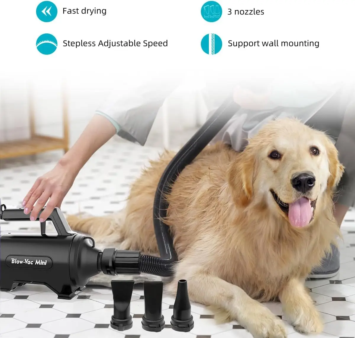 Secadora De Pelo Para Perro Shernbao Secador De Pelo Para Perros - Main Image