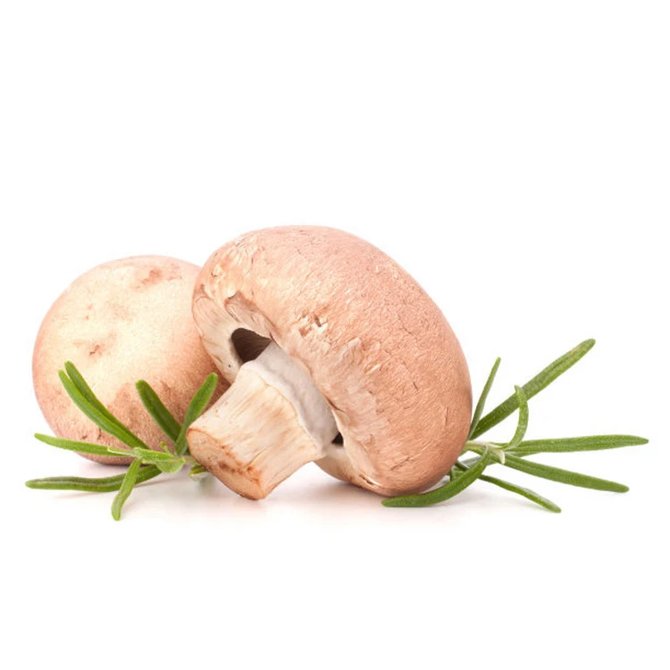 Precise Application Seasoned Good Taste Wild Magic Mushroom Dry Shiitake Slices For Household Daily Eating Food