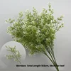Green Bamboo