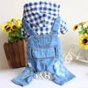 Checkered - Blue
