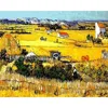 Harvest at La Crau