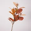 Arancione