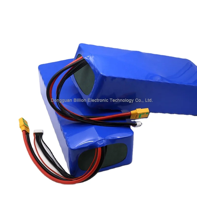 Long Distance Electric Bike Battery 500W/1000W 13S8P 48V 20Ah Lithium Ion  Battery With Bms