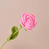 กุหลาบสีชมพู