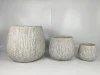 White with black