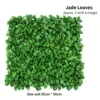 Green Jade Leaves